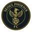 Seoul Phoenix FC