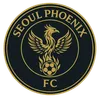 Seoul Phoenix FC